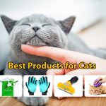 Are you looking for Best Cat Accessories 2023 UK? Find the 6+ Best Products for Cats, London, UK. Every Cat Owner Needs These Awesome Cat Products.